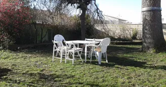 Le Cèdre
