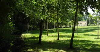 La Vallée du Coran