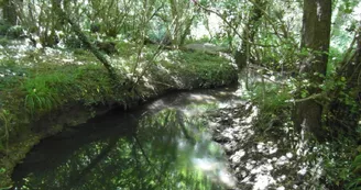 La Vallée du Coran