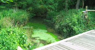 La Vallée du Coran