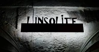 L'Insolite