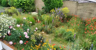 Gîte Bisabeille