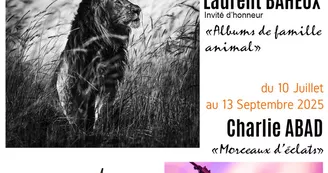 Les Estivales Photo