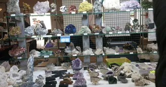 Vente exposition MINERAUX ET FOSSILES Vente exposition MINERAUX ET FOSSILES