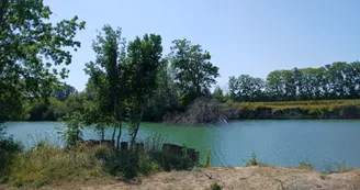 Fleuve Charente Chérac Fleuve Charente Chérac