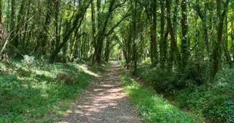 Bois - Chérac