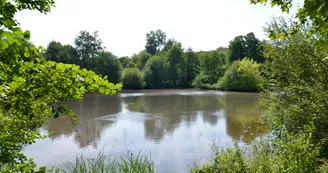 Saint Césaire Etang