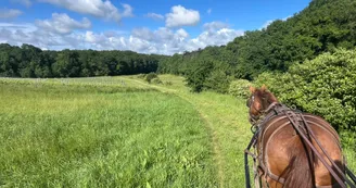 Escapade 2026 attelage