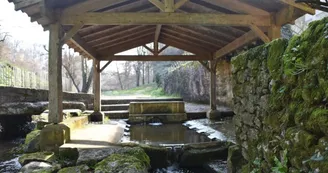 Saint-Sauvant lavoir Font-Bigot