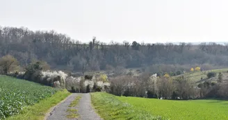 St Sauvant - Vallée du Pidou