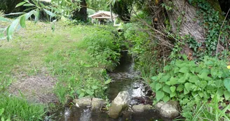St Sauvant - Vallée du pidou
