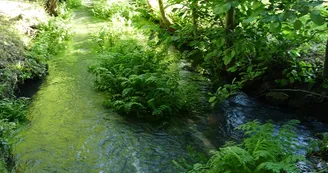 St Sauvant Le Coran